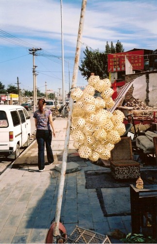 31criquets.jpg